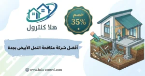 أفضل شركة مكافحة حشرات بجدة