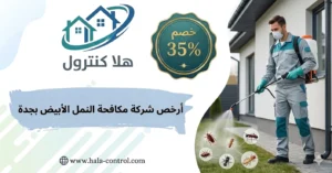 ارخص شركة مكافحة النمل الابيض بجدة
