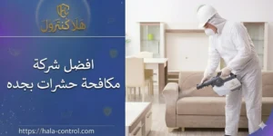 افضل شركة مكافحة الحشرات بجدة