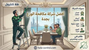 افضل شركة مكافحة الوزغ بجدة