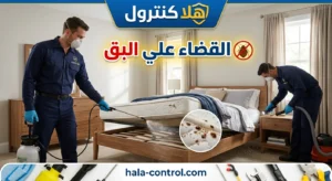 القضاء علي البق