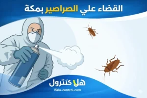 القضاء علي الصراصير بمكة