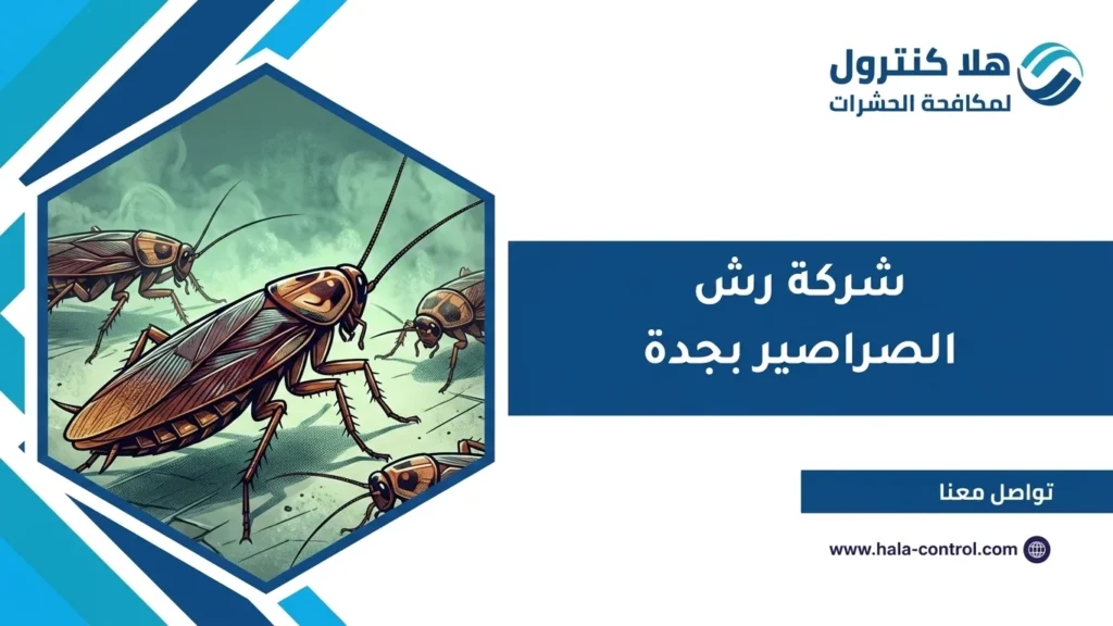 شركة رش الصراصير بجدة