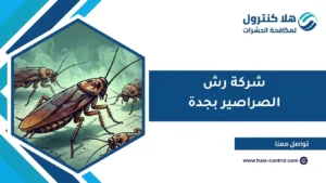 شركة رش الصراصير بجدة