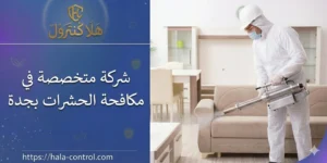شركة متخصصة في مكافحة الحشرات بجدة