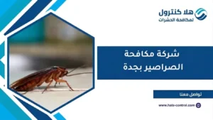 شركة مكافحة الصراصير بجدة
