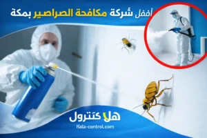 شركة مكافحة الصراصير بمكة