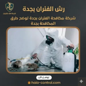 شركة مكافحة الفئران بجدة