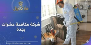 شركة مكافحة حشرات بجدة