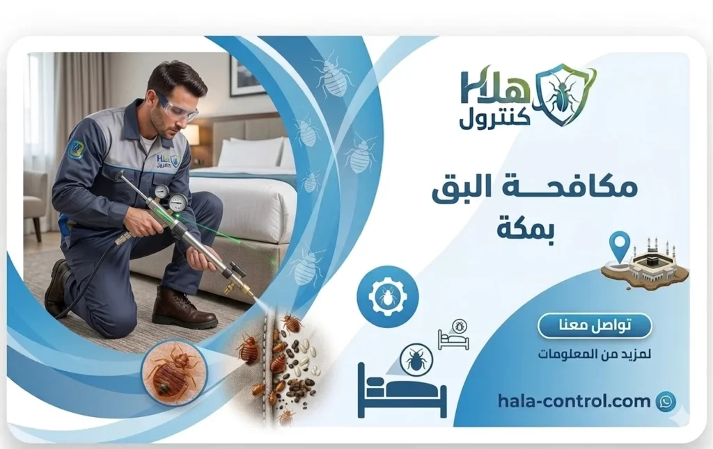 مكافحة البق بمكة