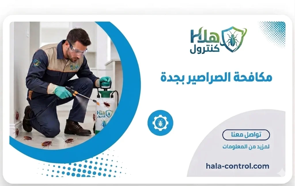 مكافحة الصراصير بجدة هلا كنترول