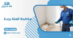 مكافحة العتة بجدة
