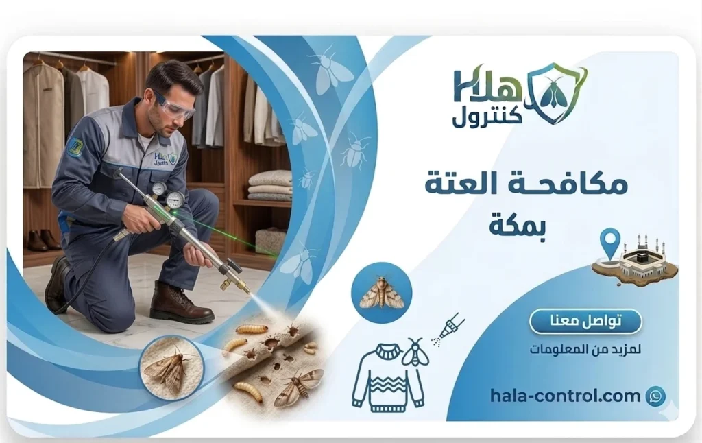 مكافحة العتة بمكة