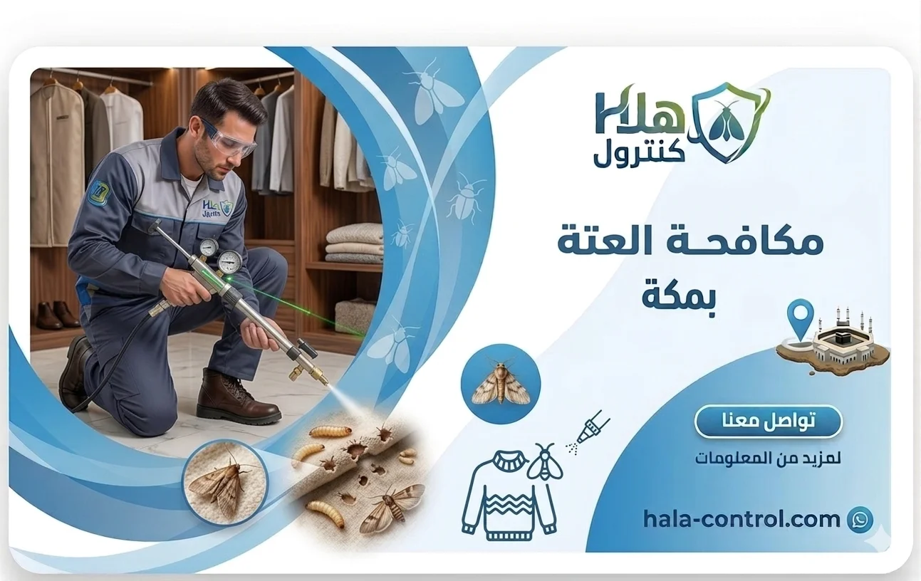 مكافحة العتة بمكة