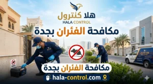 مكافحة الفئران بجدة
