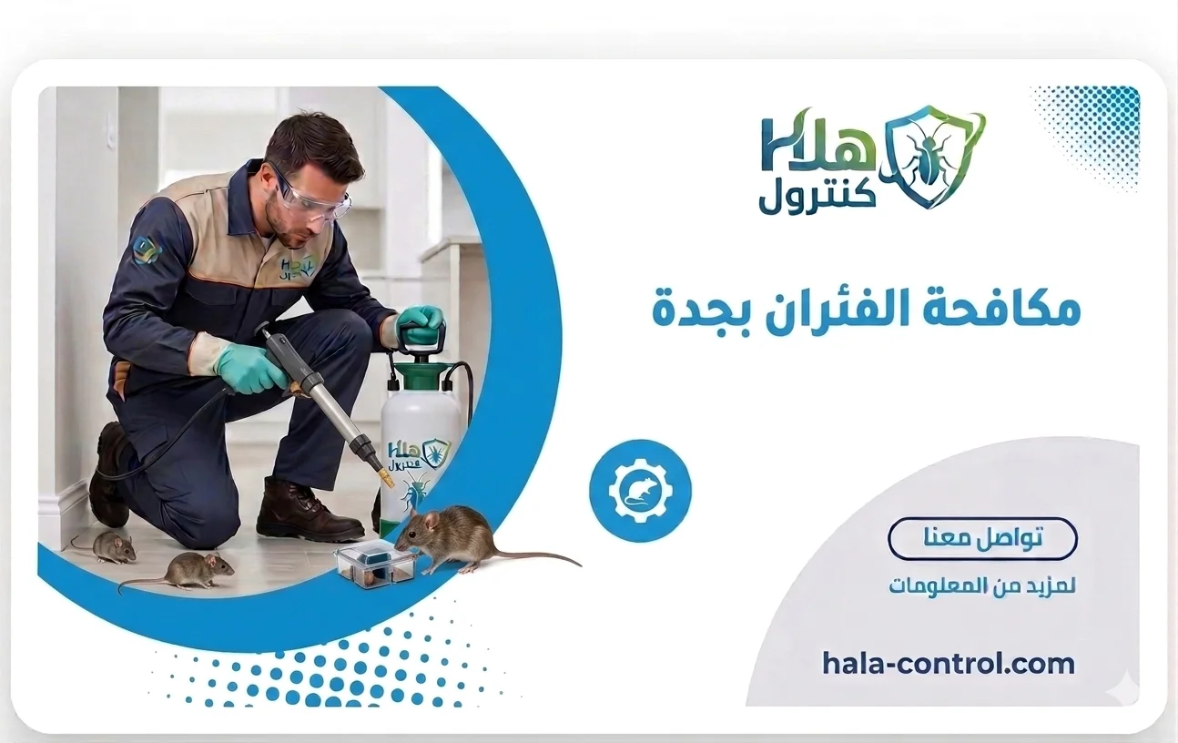 مكافحة الفئران بجدة هلا كنترول