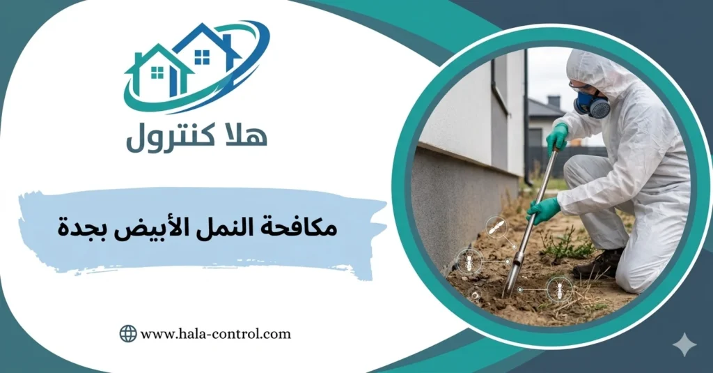 مكافحة النمل الابيض بجدة