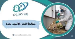 مكافحة النمل الأبيض بجدة