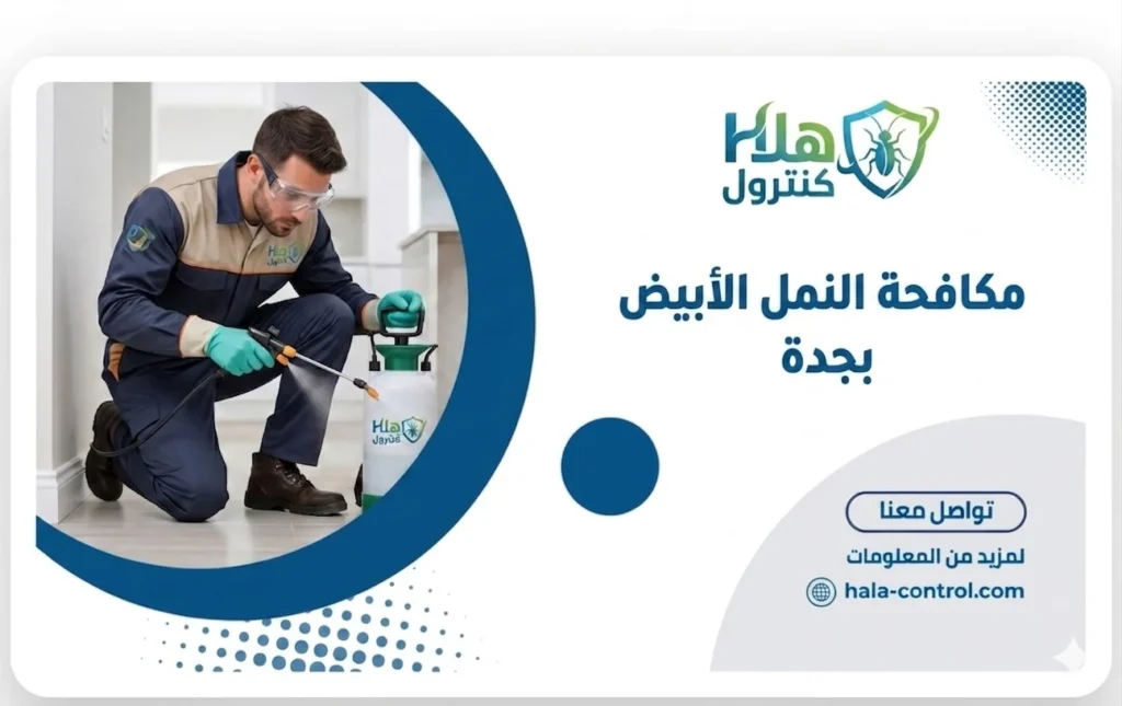 مكافحة النمل الابيض بجدة هلا كنترول