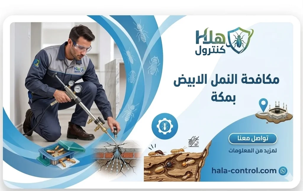 مكافحة النمل الابيض بمكة