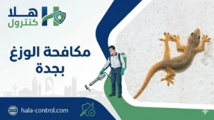 مكافحة الوزغ بجدة