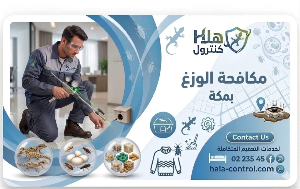 مكافحة الوزغ مكة