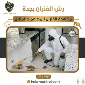 مكافحة فئران المطاعم بجدة