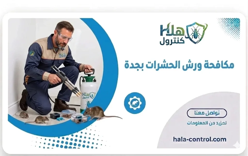 مكافحة ورش الحشرات بجدة