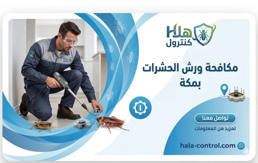 مكافحة ورش الحشرات بمكة