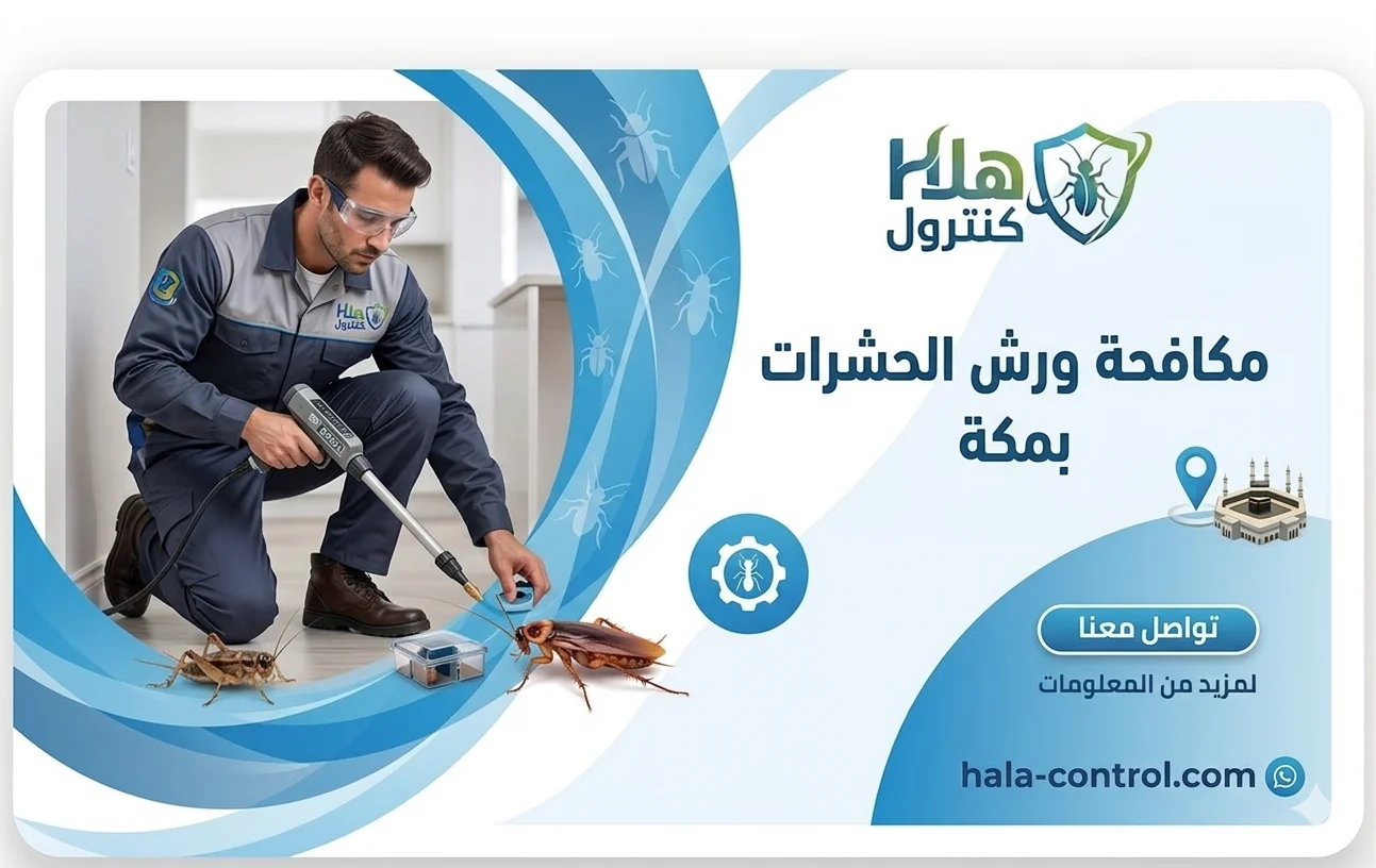 مكافحة ورش الحشرات بمكة