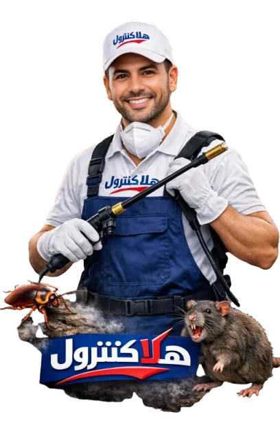هلا كنترول