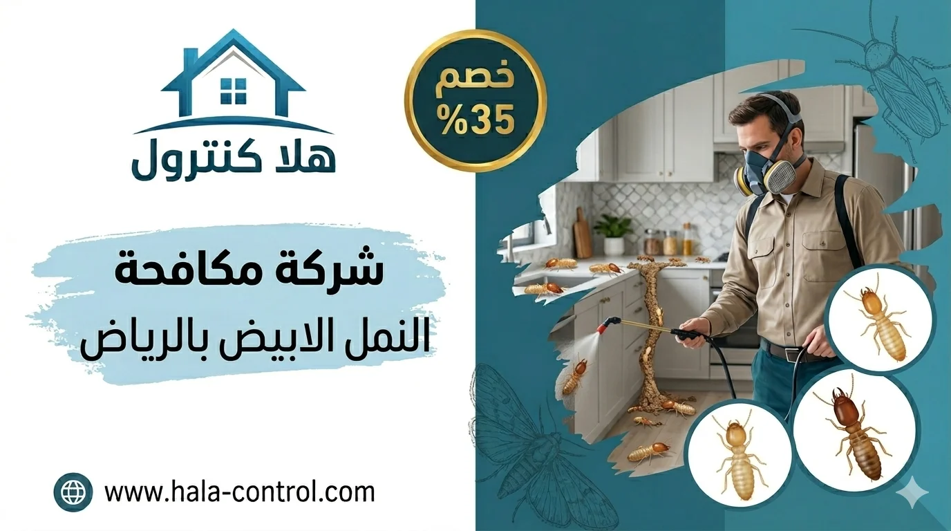 شركة مكافحة النمل بالرياض
