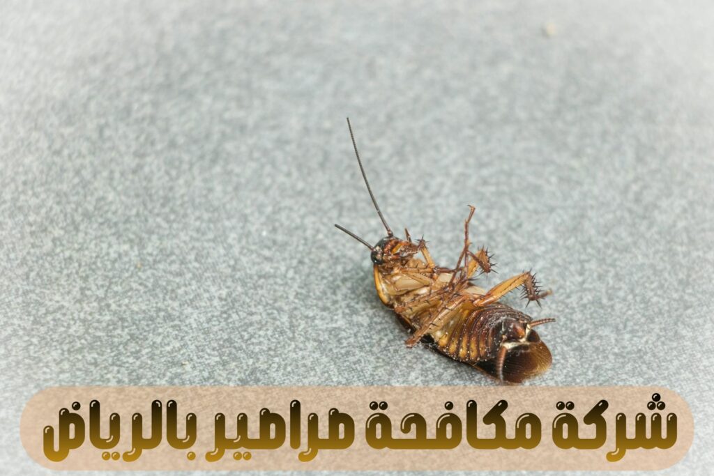 شركة مكافحة صراصير بالرياض_20260610_024805_0000