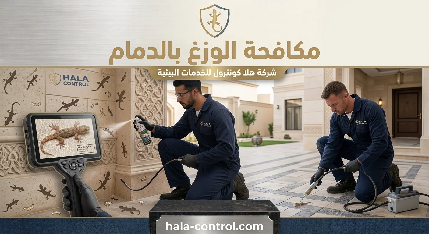 مكافحة الوزغ بالدمام