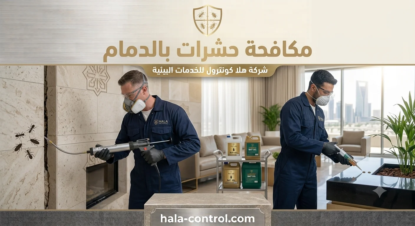 مكافحة حشرات الدمام