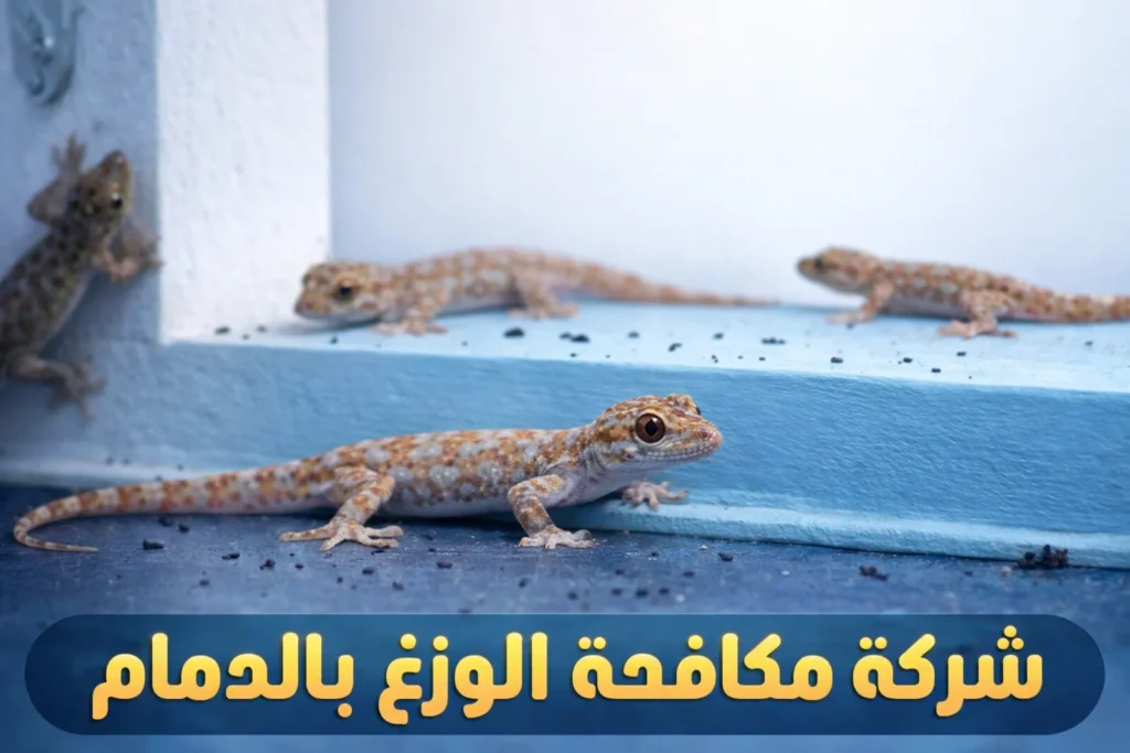 شركة مكافحة الوزغ بالدمام