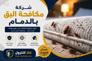 شركة مكافحة بق الفراش بالدمام
