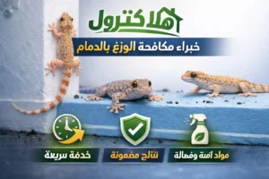مكافحة الوزغ بالدمام 