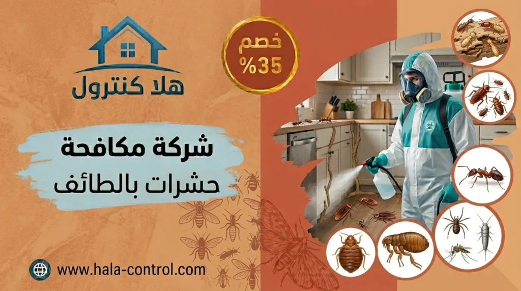 مكافحة حشرات الطائف