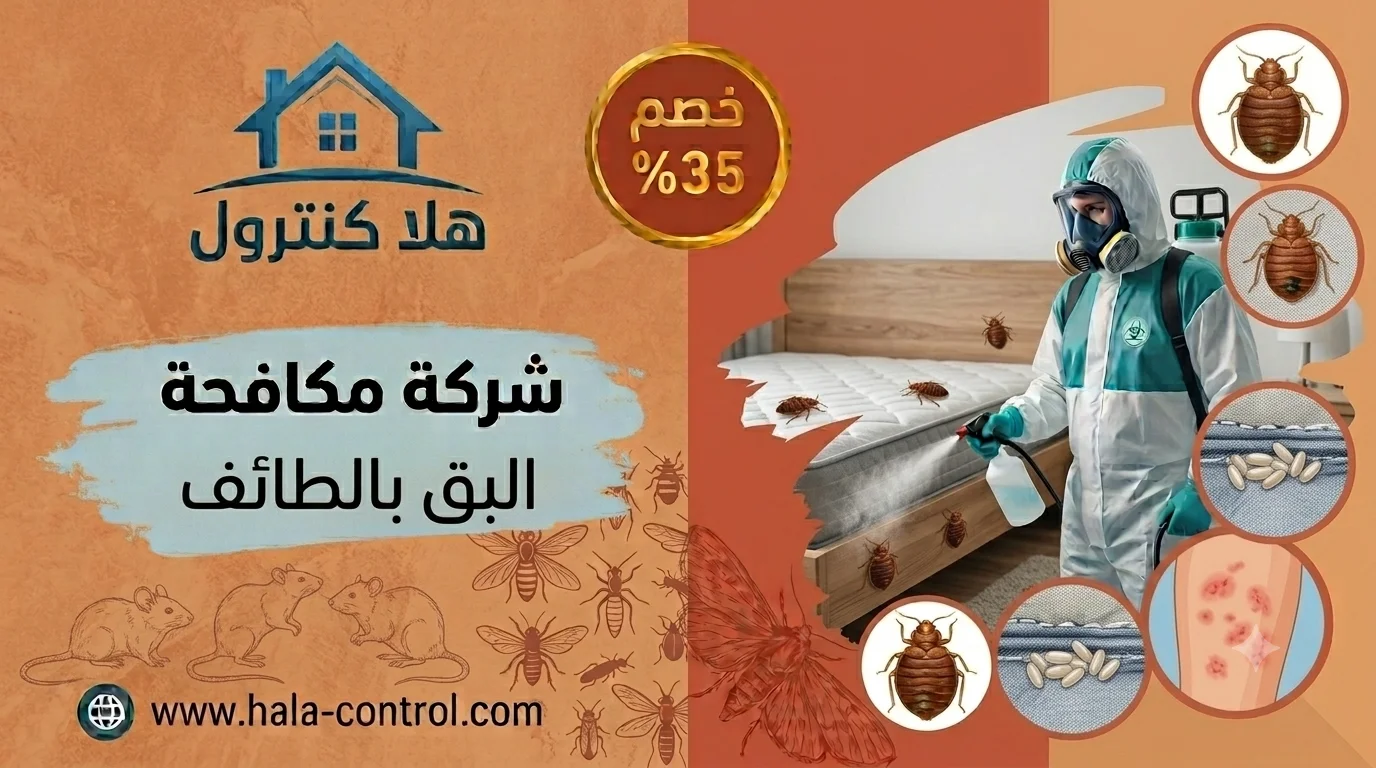 رش البق بالطائف