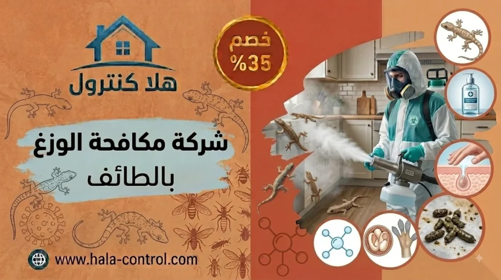 شركة مكافحة الوزغ بالطائف